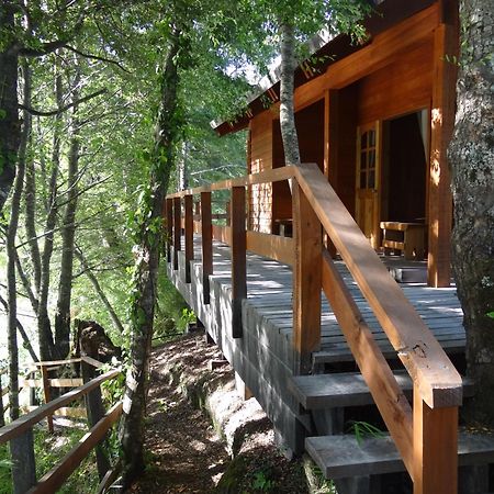 Patagonia Mawida Villa Neltume Exterior photo