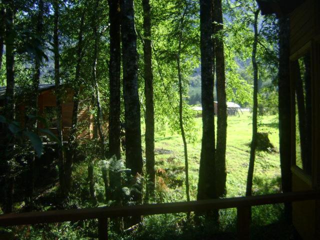 Patagonia Mawida Villa Neltume Exterior photo