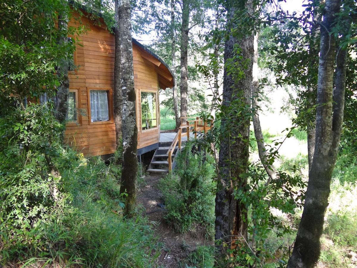 Patagonia Mawida Villa Neltume Exterior photo