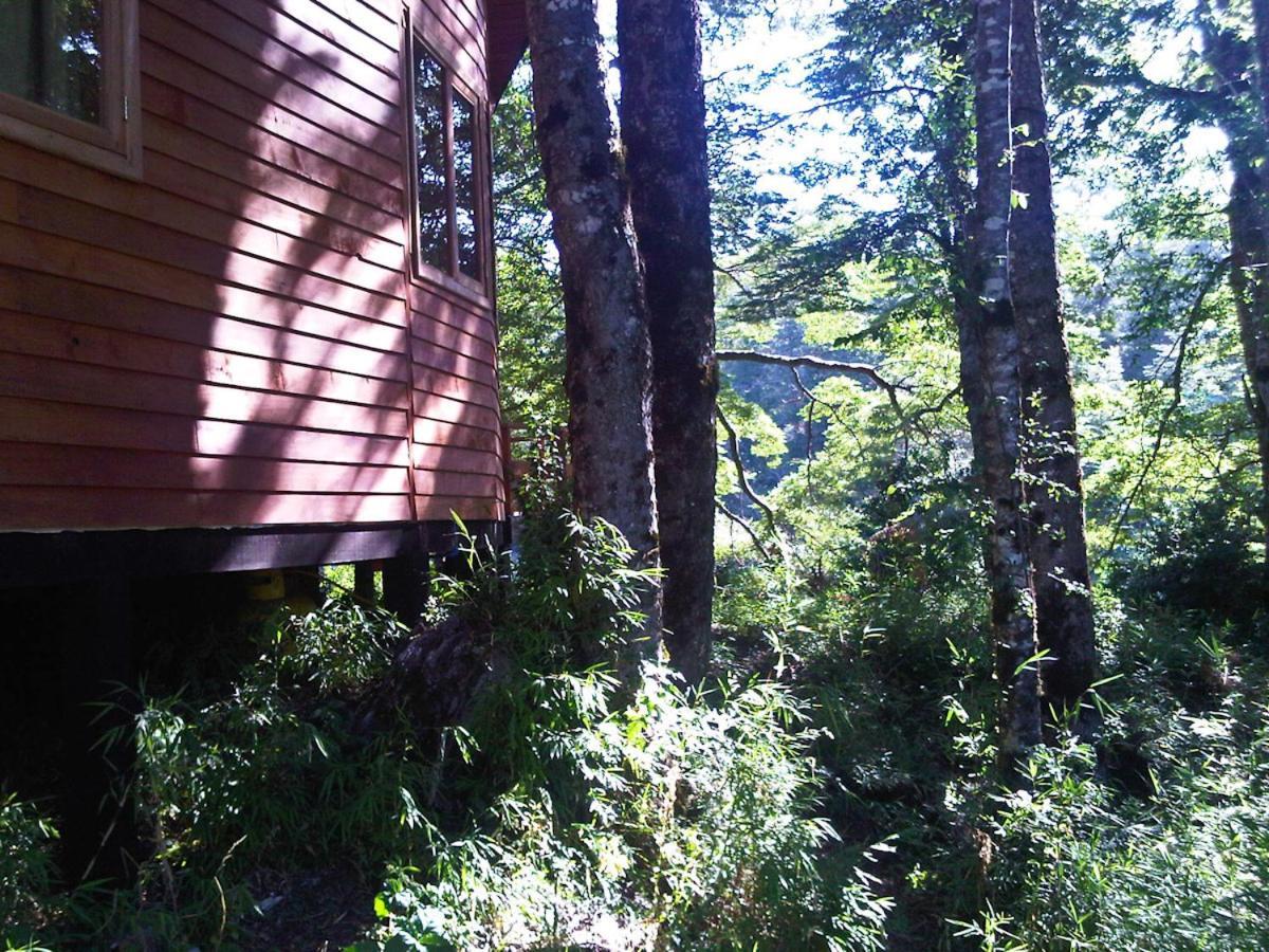 Patagonia Mawida Villa Neltume Exterior photo