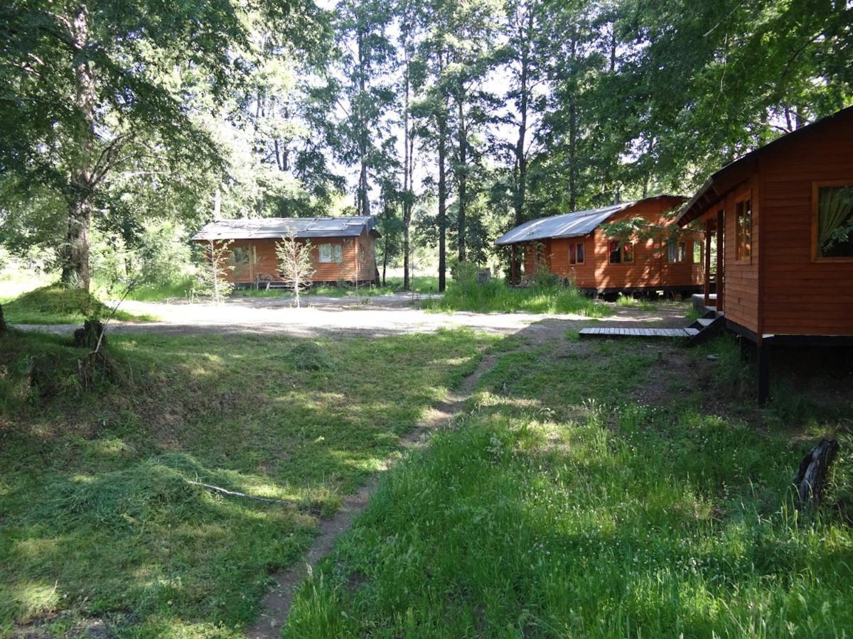 Patagonia Mawida Villa Neltume Exterior photo